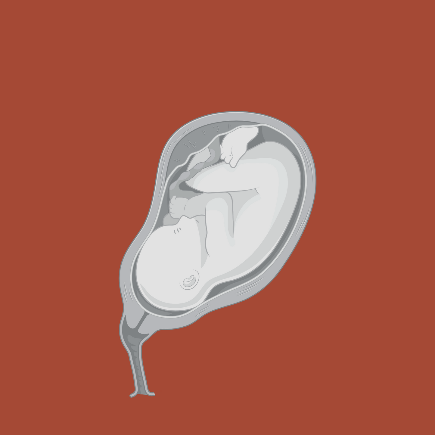 Maternal-Fetal PBPK