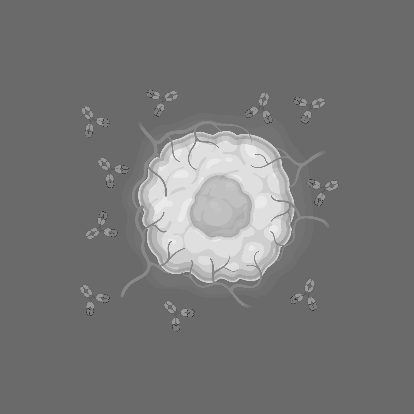Antibody Therapy in Oncology