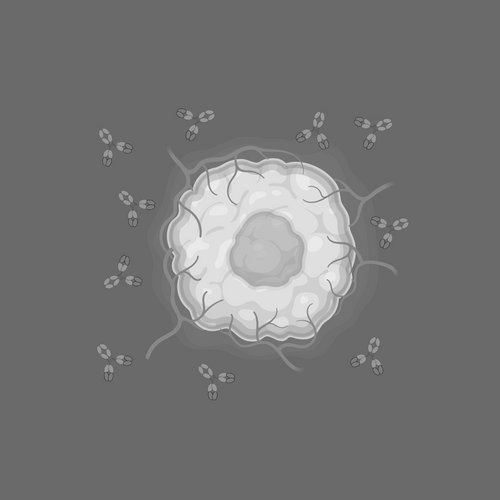 Antibody Therapy in Oncology