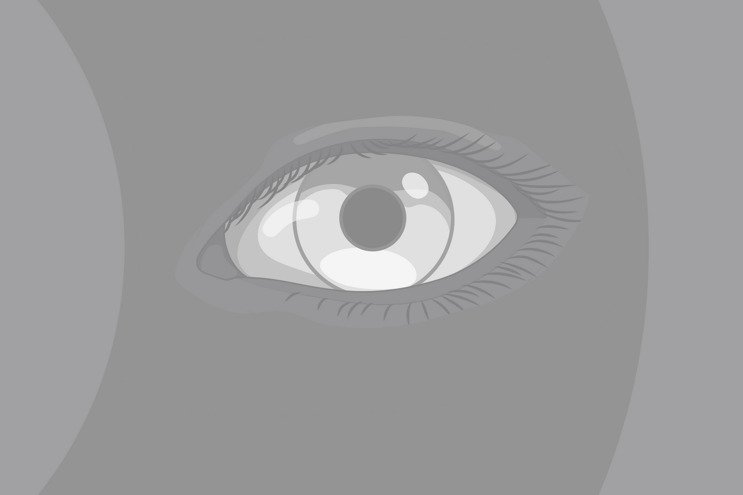 Observer