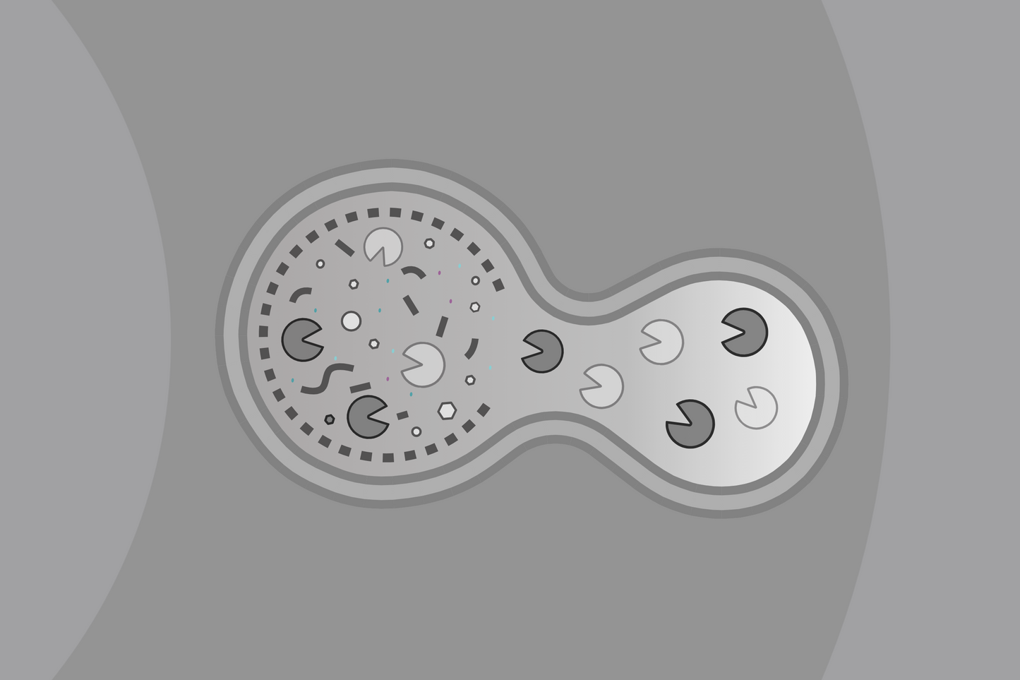 Lysosomal Trapping
