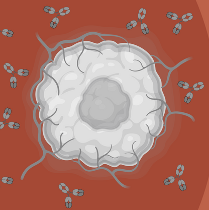 Adding an Organ (Tumor)