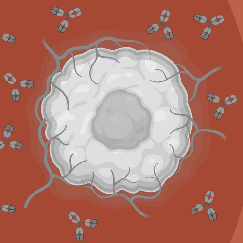 Adding an Organ (Tumor)